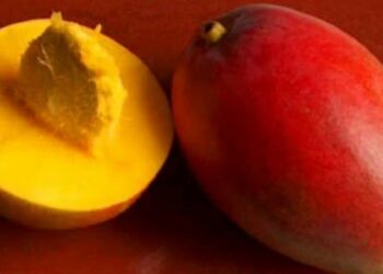 Investigadores Patentan un procedimiento de obtención de un extracto de semillas de Mango.